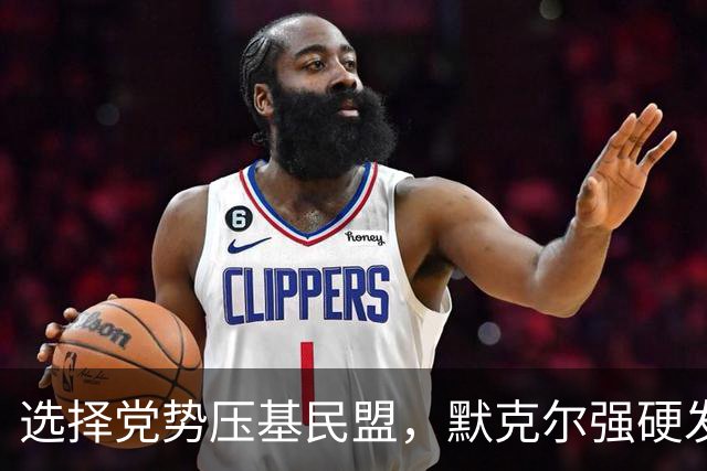 选择党势压基民盟，默克尔强硬发声：绝不能让德国落入选择党之手